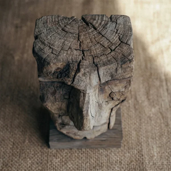 Moai of the Driftwood | Wood Sculpture