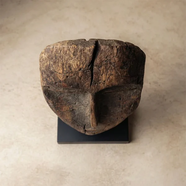 Fossilized Visage | Wood Sculpture